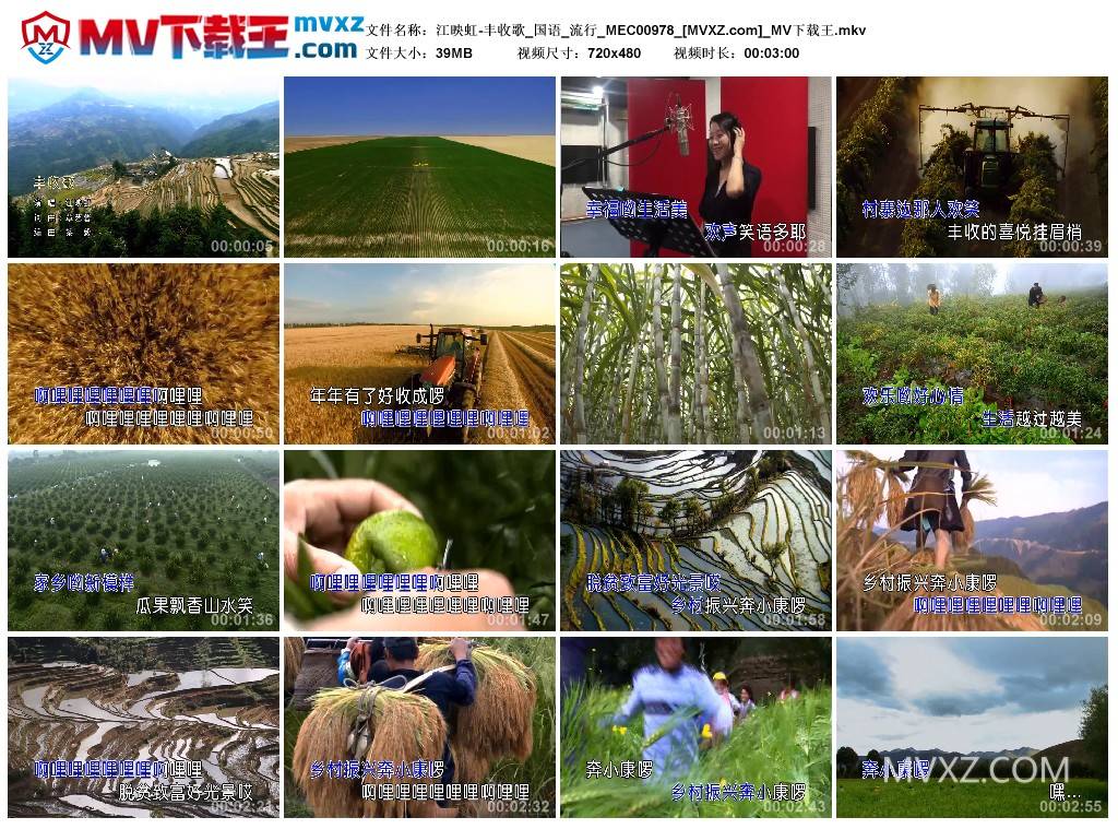 江映虹-丰收歌_国语_流行_MEC00978